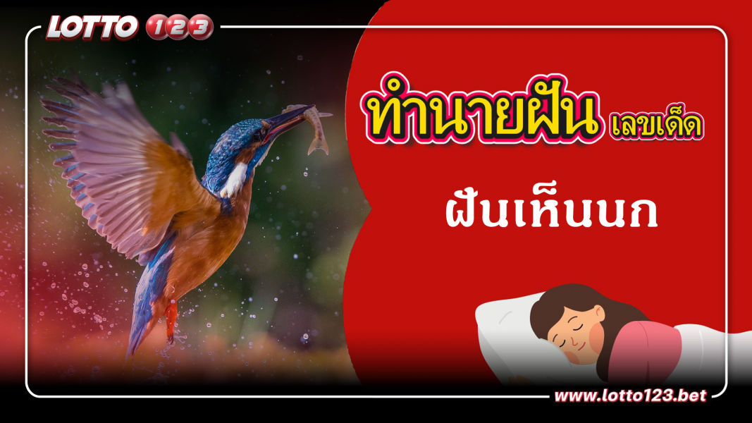 ฝันเห็นนก ทำนายฝันเหตุการณ์ความฝันแบบนี้มีความหมายว่าอย่างไร พร้อมเลขมงคลนำโชค