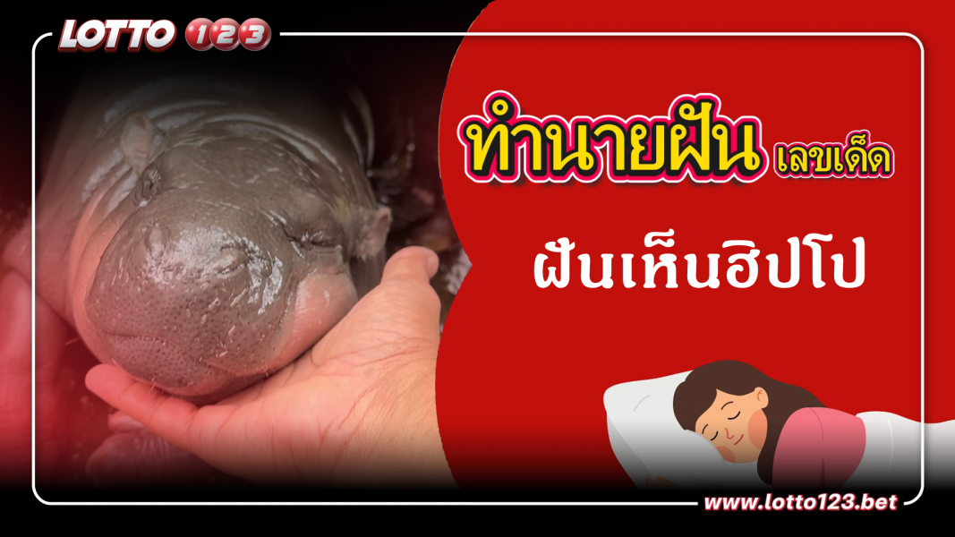 ทำนายฝันเลขเด็ด ฝันเห็นฮิปโป