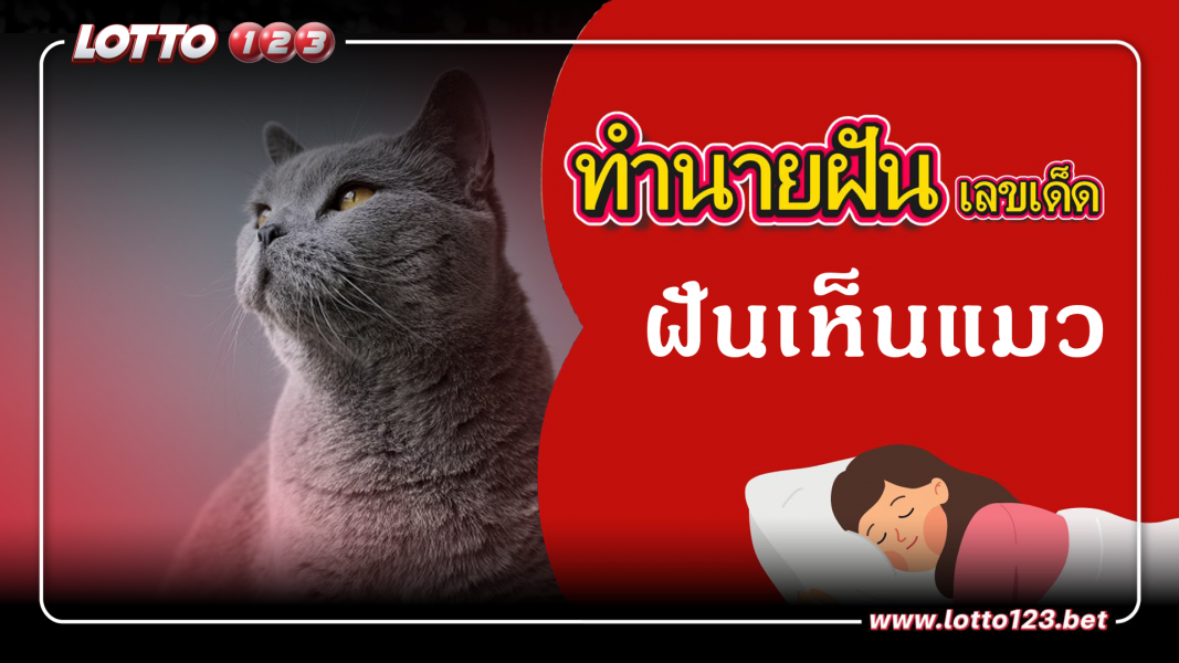 ฝันเห็นแมว  ทำนายฝันเหตุการณ์ความฝันแบบนี้มีความหมายว่าอย่างไร พร้อมเลขมงคลนำโชค