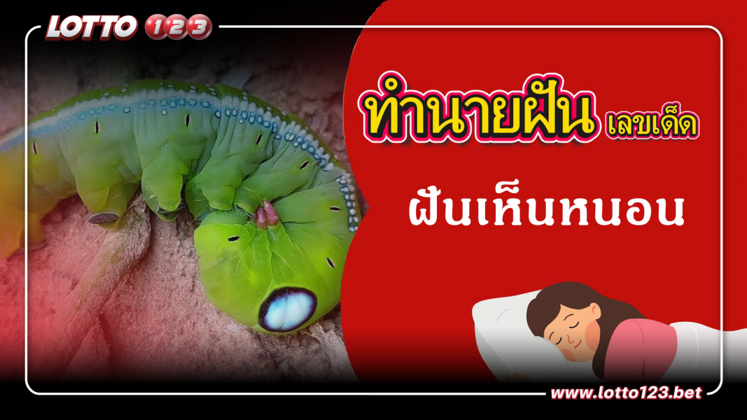 ทำนายฝันเลขเด็ด ฝันเห็นหนอน