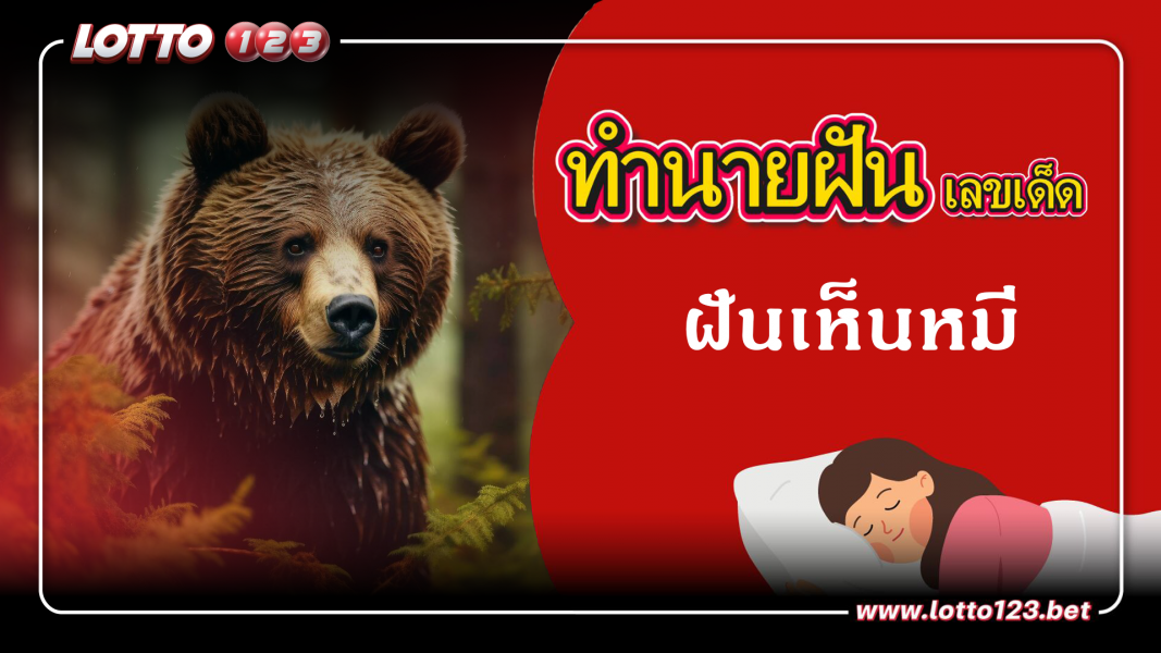 ทำนายฝันเลขเด็ด ฝันเห็นหมี