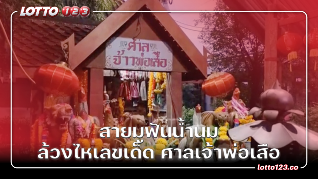 สายมูฟันน้ำนม ล้วงไหเลขเด็ด ศาลเจ้าพ่อเสือ