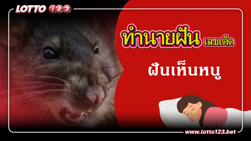 ทำนายฝันเลขเด็ด ฝันเห็นหนู